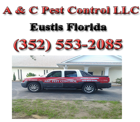 pest removal company